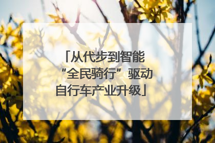 从代步到智能 “全民骑行”驱动自行车产业升级