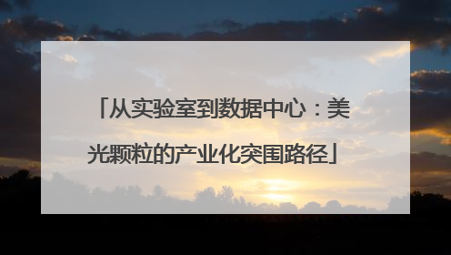 从实验室到数据中心：美光颗粒的产业化突围路径