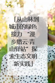从山林到城市的绿色接力 “漫步缙云·青山驿站”探索生态文明新实践