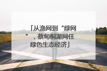 从渔网到“绿网”，蔡甸桐湖网住绿色生态经济