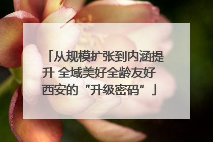 从规模扩张到内涵提升 全域美好全龄友好西安的“升级密码”