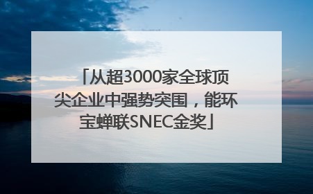 从超3000家全球顶尖企业中强势突围，能环宝蝉联SNEC金奖
