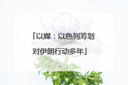 以媒：以色列筹划对伊朗行动多年