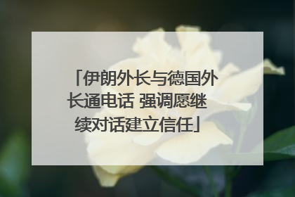 伊朗外长与德国外长通电话 强调愿继续对话建立信任