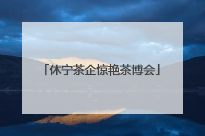 休宁茶企惊艳茶博会