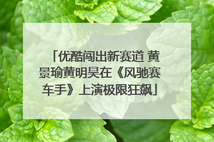 优酷闯出新赛道 黄景瑜黄明昊在《风驰赛车手》上演极限狂飙