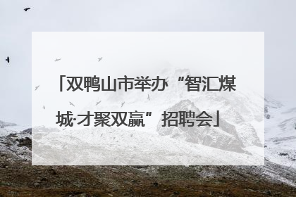 双鸭山市举办“智汇煤城·才聚双赢”招聘会