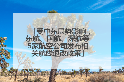 受中东局势影响，东航、国航、深航等5家航空公司发布相关航线退改政策