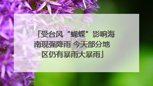 受台风“蝴蝶”影响海南现强降雨 今天部分地区仍有暴雨大暴雨