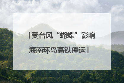 受台风“蝴蝶”影响 海南环岛高铁停运