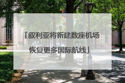 叙利亚将新建数座机场 恢复更多国际航线