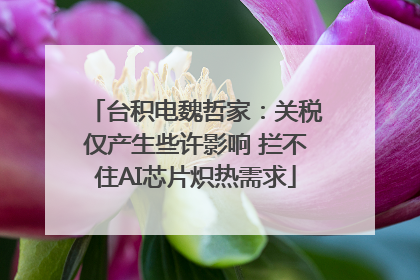台积电魏哲家：关税仅产生些许影响 拦不住AI芯片炽热需求