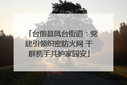 台前县凤台街道：党建引领织密防火网 干群携手共护家园安