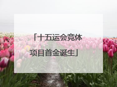 十五运会竞体项目首金诞生