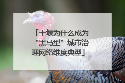 十堰为什么成为“黑马型”城市治理网络维度典型