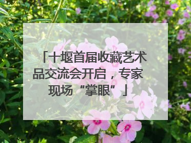 十堰首届收藏艺术品交流会开启，专家现场“掌眼”