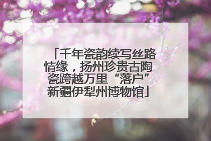 千年瓷韵续写丝路情缘，扬州珍贵古陶瓷跨越万里“落户”新疆伊犁州博物馆