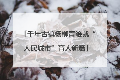千年古镇杨柳青绘就“人民城市”育人新篇