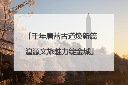 千年唐蕃古道焕新篇 湟源文旅魅力绽金城