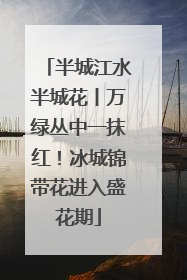 半城江水半城花丨万绿丛中一抹红！冰城锦带花进入盛花期