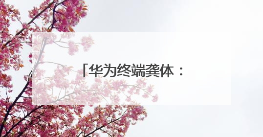 华为终端龚体：鸿蒙开启高效智能开发新时代