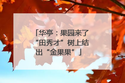 华亭：果园来了“田秀才”树上结出“金果果”
