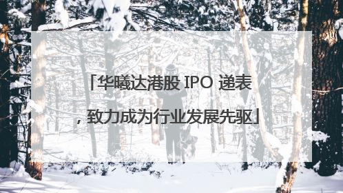 华曦达港股 IPO 递表，致力成为行业发展先驱