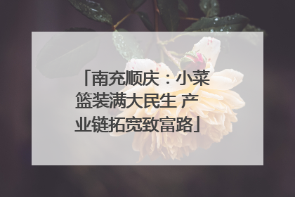 南充顺庆：小菜篮装满大民生 产业链拓宽致富路
