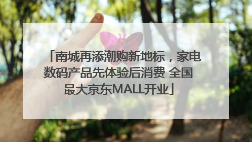 南城再添潮购新地标，家电数码产品先体验后消费 全国最大京东MALL开业