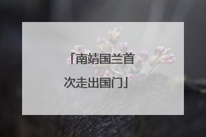 南靖国兰首次走出国门