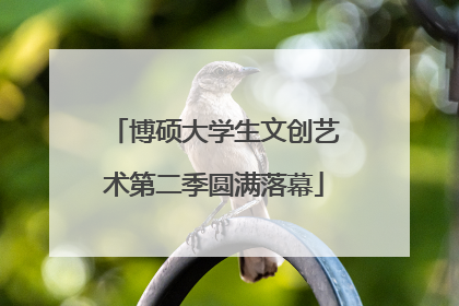 博硕大学生文创艺术第二季圆满落幕