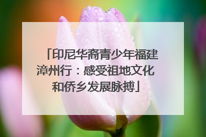 印尼华裔青少年福建漳州行：感受祖地文化和侨乡发展脉搏