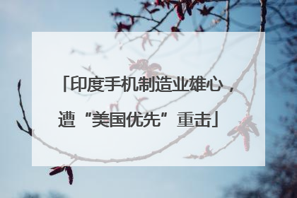 印度手机制造业雄心，遭“美国优先”重击