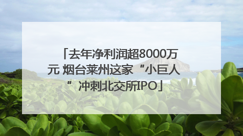 去年净利润超8000万元 烟台莱州这家“小巨人”冲刺北交所IPO
