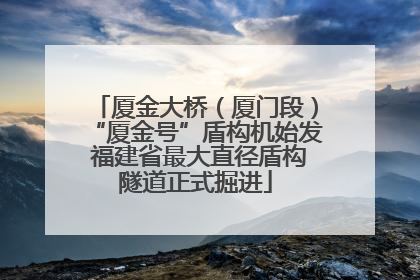 厦金大桥（厦门段）“厦金号”盾构机始发 福建省最大直径盾构隧道正式掘进