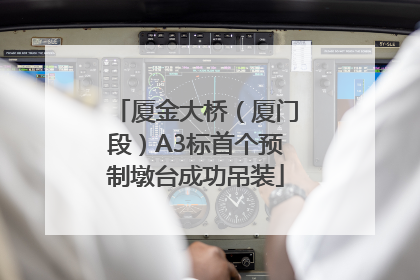 厦金大桥（厦门段）A3标首个预制墩台成功吊装