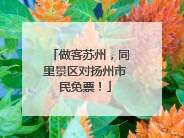 做客苏州，同里景区对扬州市民免票！