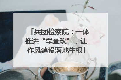 兵团检察院：一体推进“学查改”，让作风建设落地生根