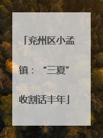 兖州区小孟镇：“三夏”收割话丰年