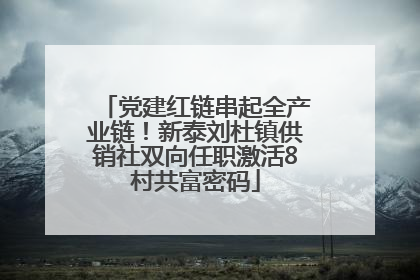 党建红链串起全产业链！新泰刘杜镇供销社双向任职激活8村共富密码