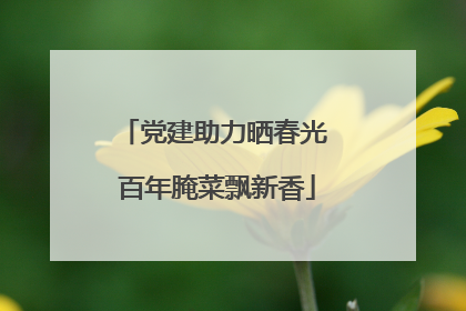党建助力晒春光 百年腌菜飘新香