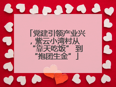 党建引领产业兴，紫云小湾村从 “靠天吃饭” 到 “抱团生金”