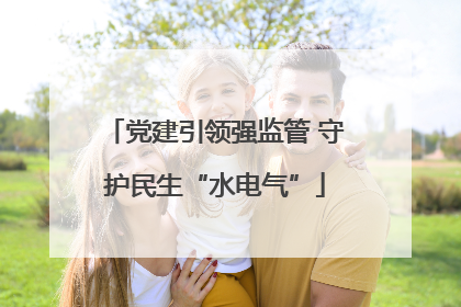 党建引领强监管 守护民生“水电气”