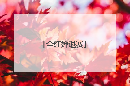 全红婵退赛
