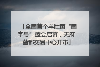 全国首个羊肚菌“国字号”盛会启幕，天府菌都交易中心开市