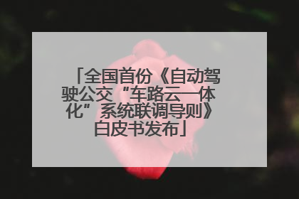 全国首份《自动驾驶公交“车路云一体化”系统联调导则》白皮书发布