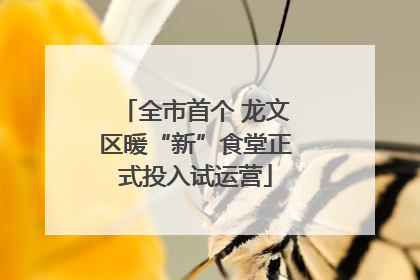 全市首个 龙文区暖“新”食堂正式投入试运营