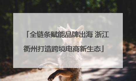 全链条赋能品牌出海 浙江衢州打造跨境电商新生态