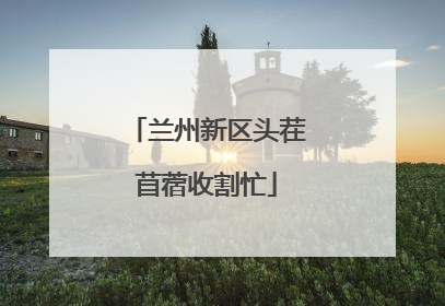 兰州新区头茬苜蓿收割忙
