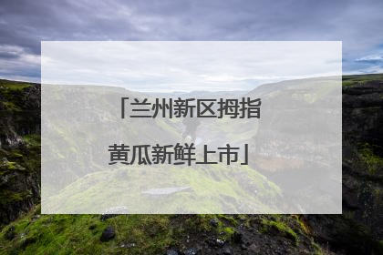 兰州新区拇指黄瓜新鲜上市